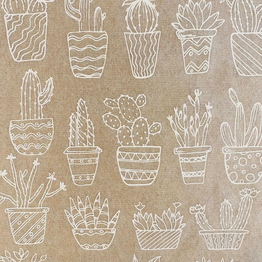 Potted Plants